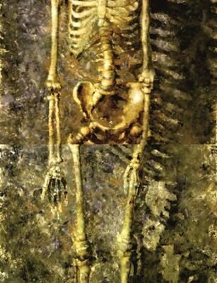 Homo Sapiens диптих