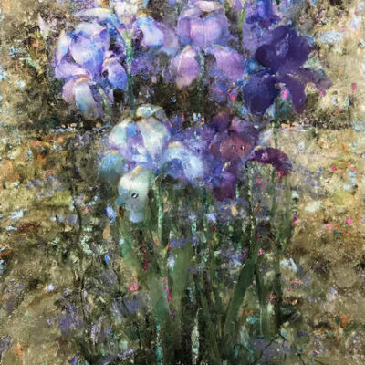 Ирис Великолепный